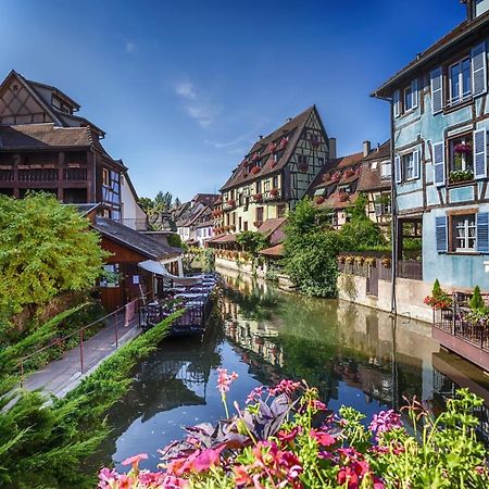 Ferienwohnung Dependance De Charme - Tiny House Colmar Exterior foto